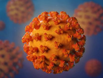 indrico_coronavirus